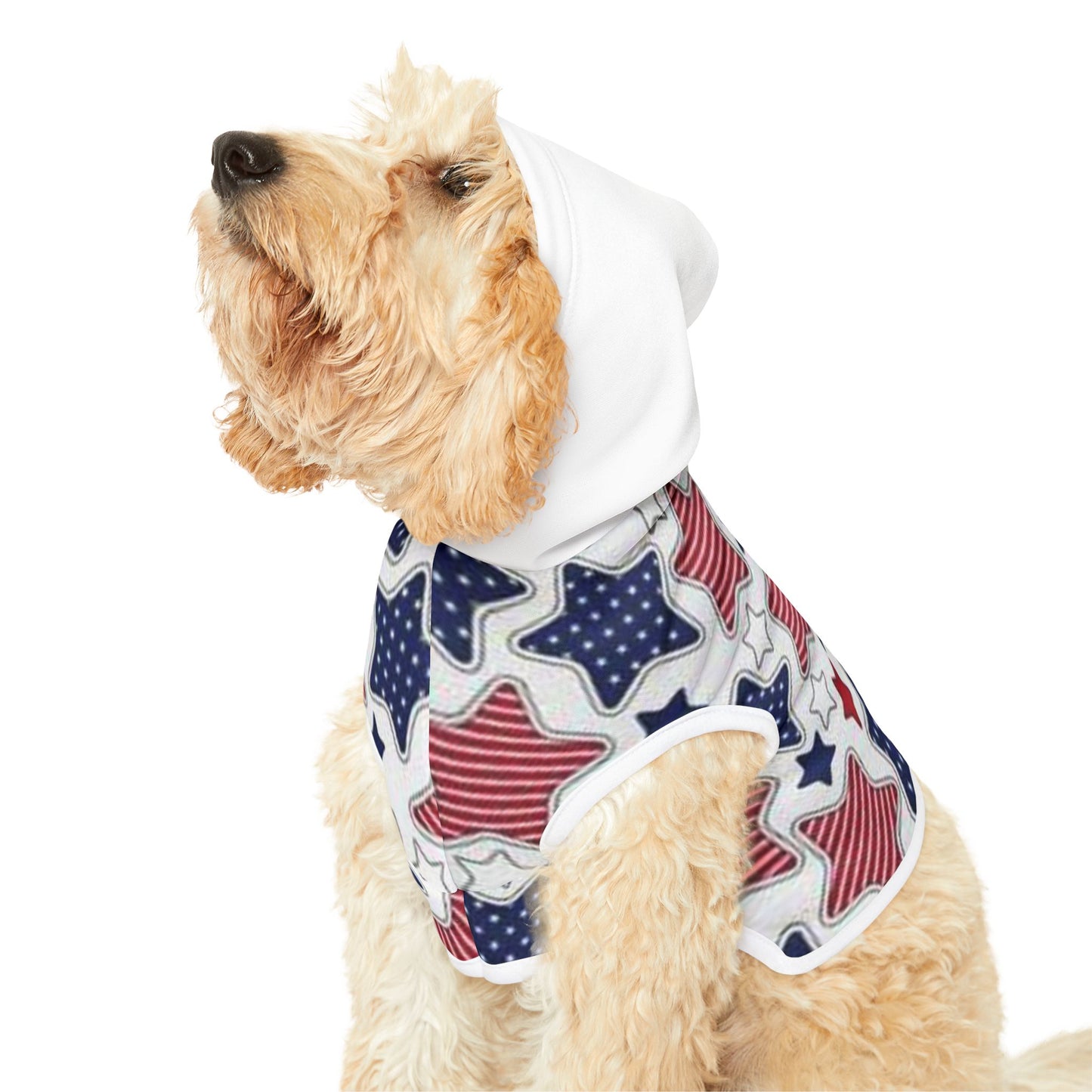 Pet Hoodie