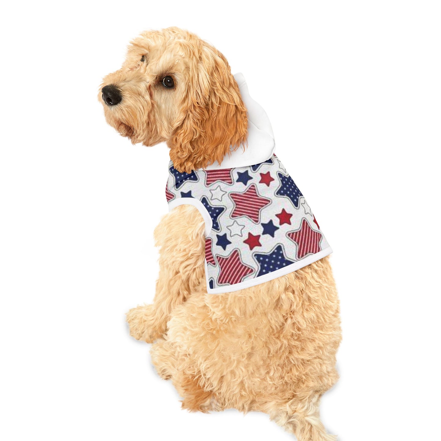 Pet Hoodie